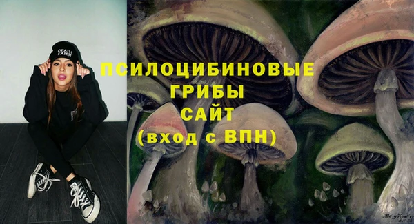 Альфа ПВП Майский